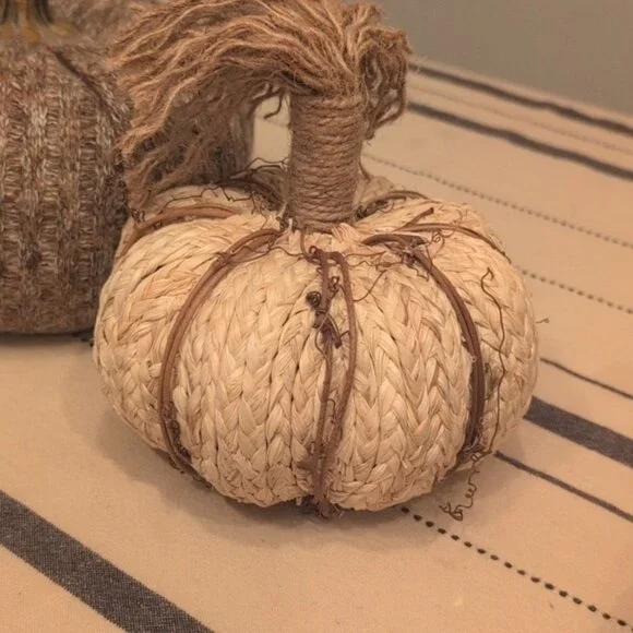 Rustic Brown and Cream Pumpkin Decor Set - Picture 2 of 2